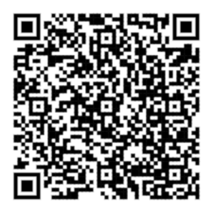 VasaveCodex UPI QR Code
